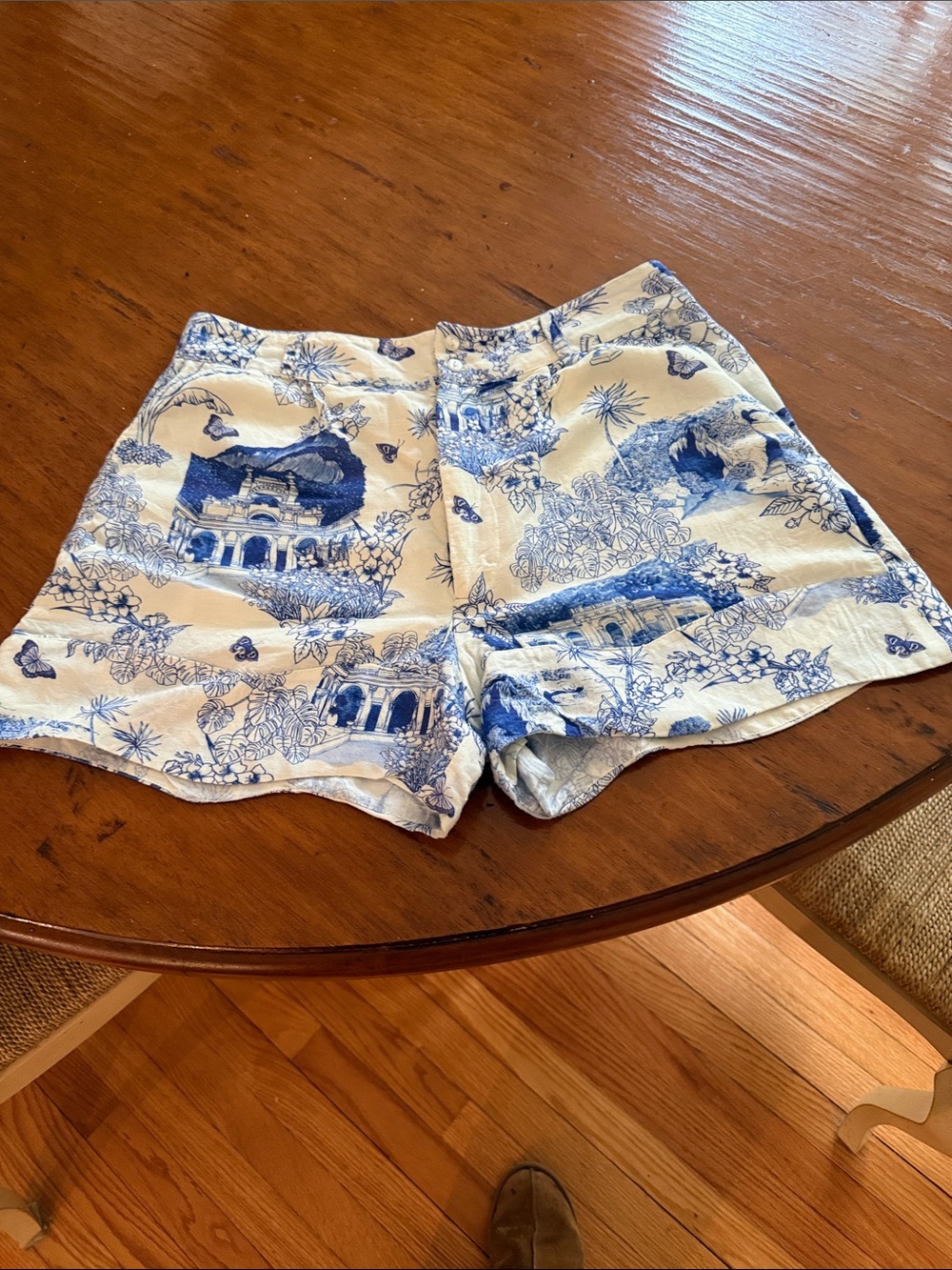 FARM Rio for Anthropologie Blue & Cream Toile Linen Shorts